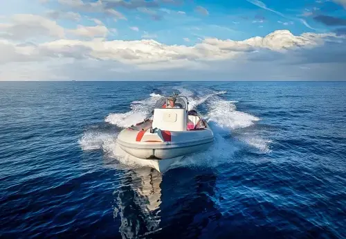 Rib on the open ocean