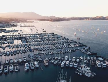 Zoomed out picture of marina filled with boats